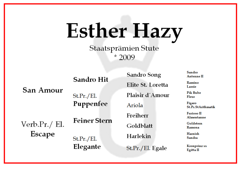 Esther Hazy neu